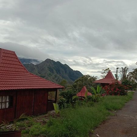 Home Stay Wolokoro Ecotourism Bajawa 외부 사진
