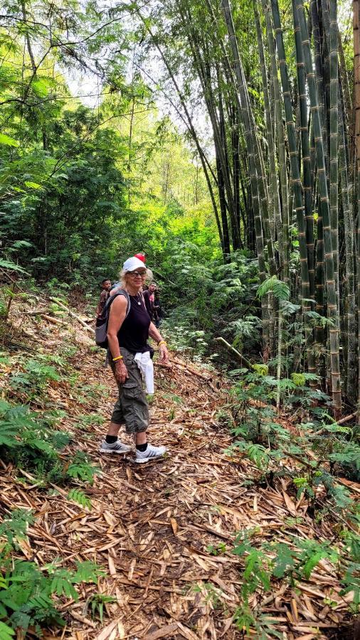 Home Stay Wolokoro Ecotourism Bajawa 외부 사진